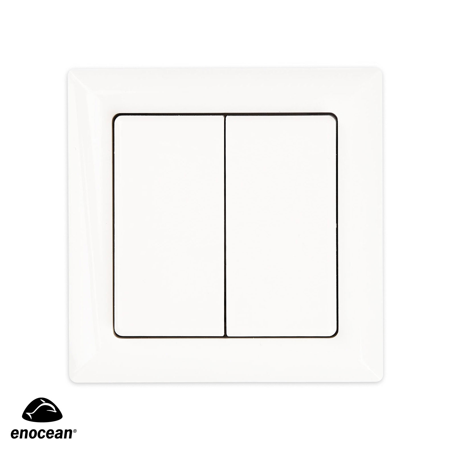 TASTER A 2-/4-CHANNEL FT55-wg