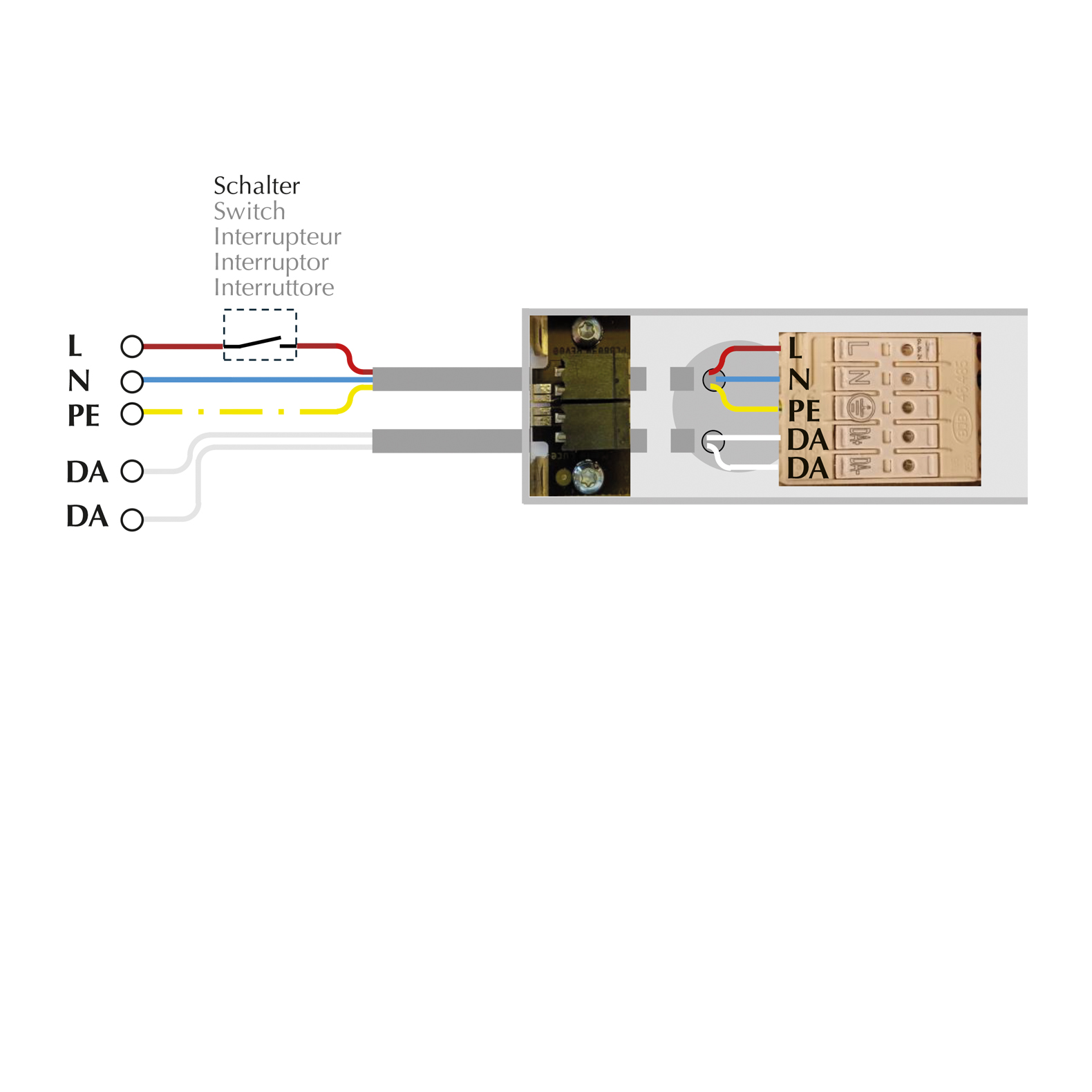 ALIMENTATION FIN/MILIEU + PIECE RÉSEAU DALI 297 MI